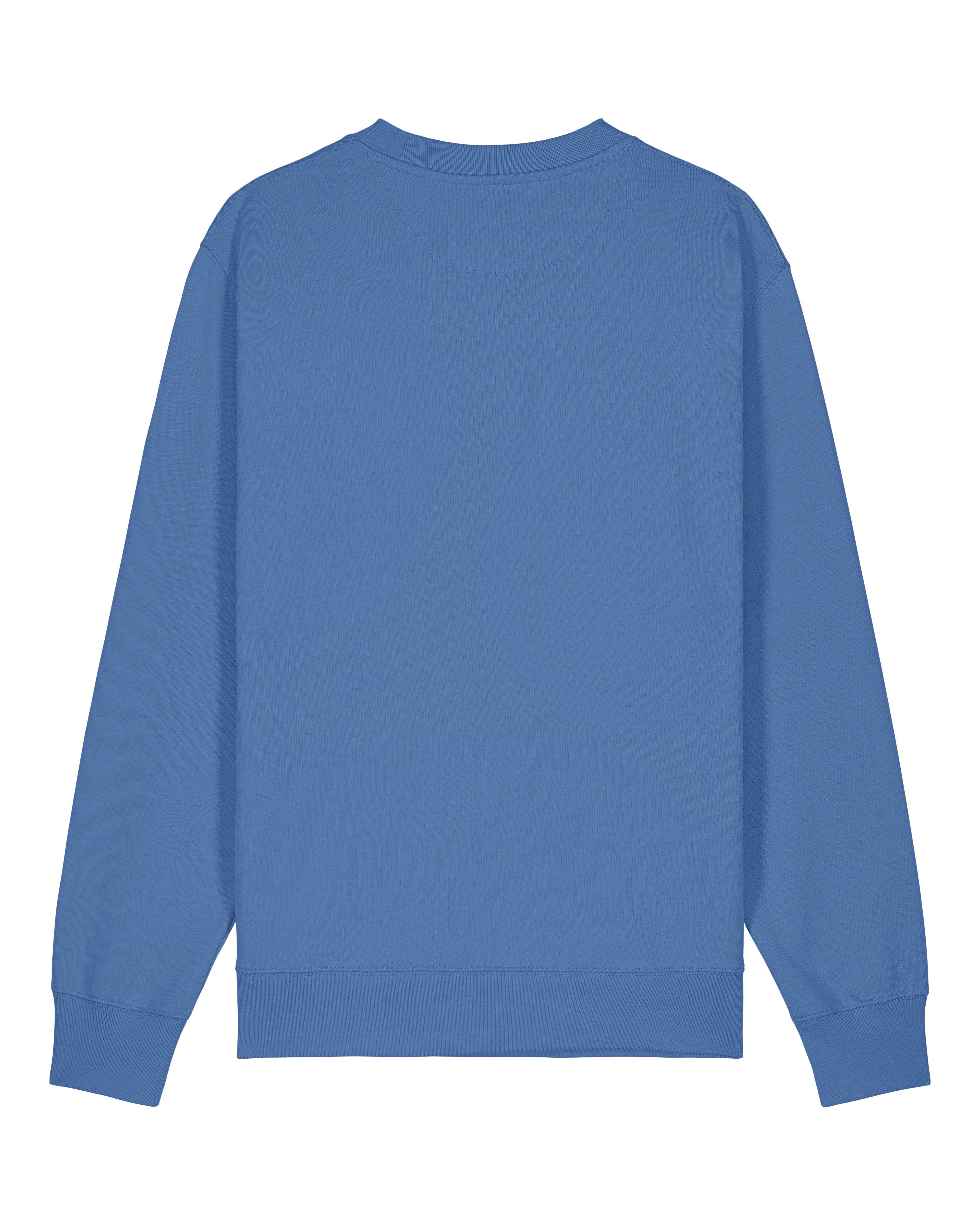SWEATER - BRIBLAUW