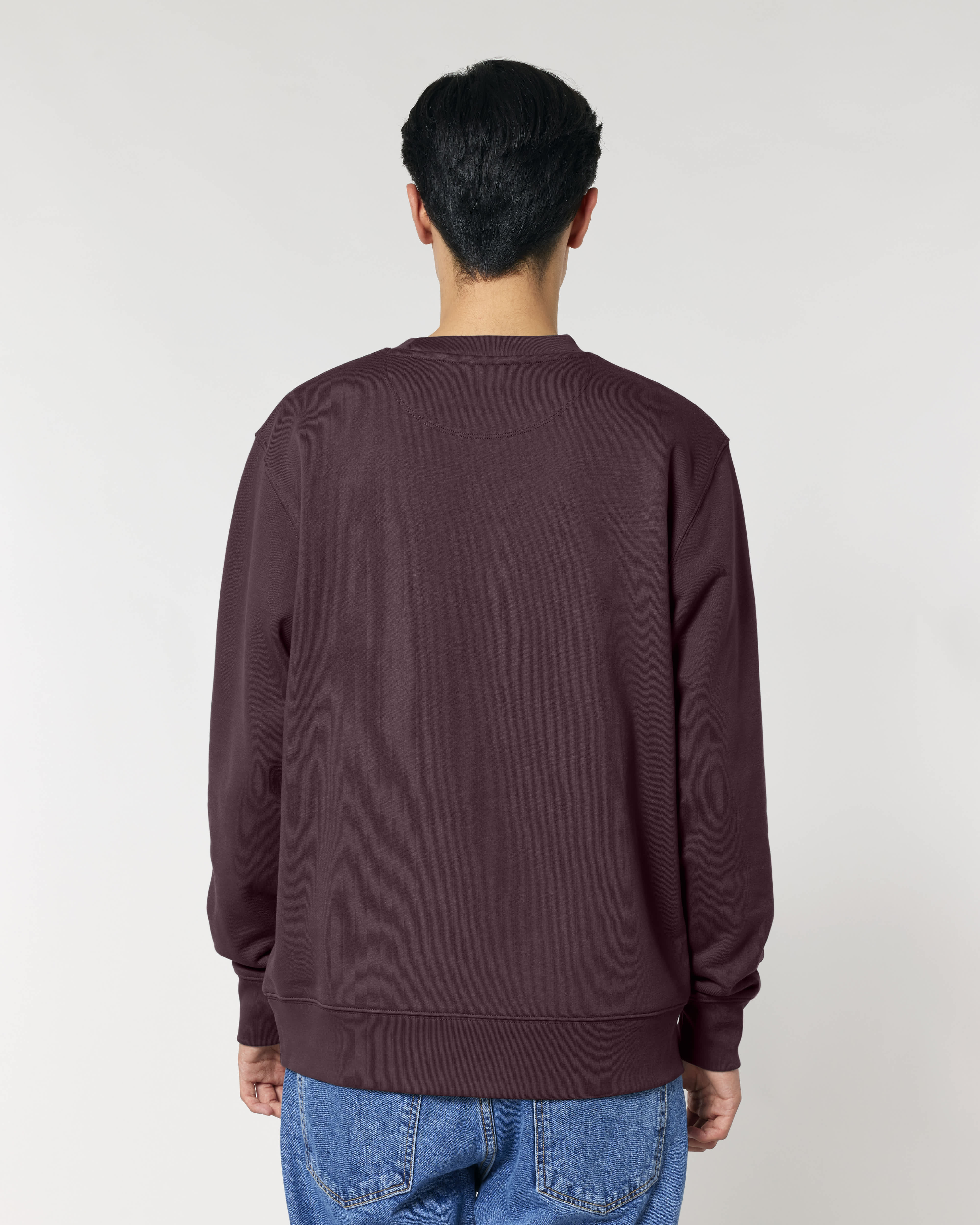 SWEATER - ROBRUIN